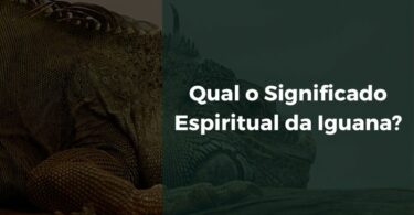 Qual o Significado Espiritual da Iguana