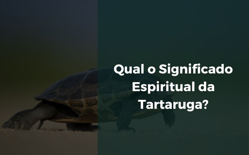 Qual o Significado Espiritual da Tartaruga